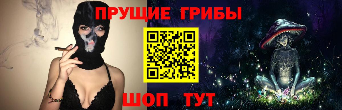 Галлюциногенные грибы Psilocybe Аша