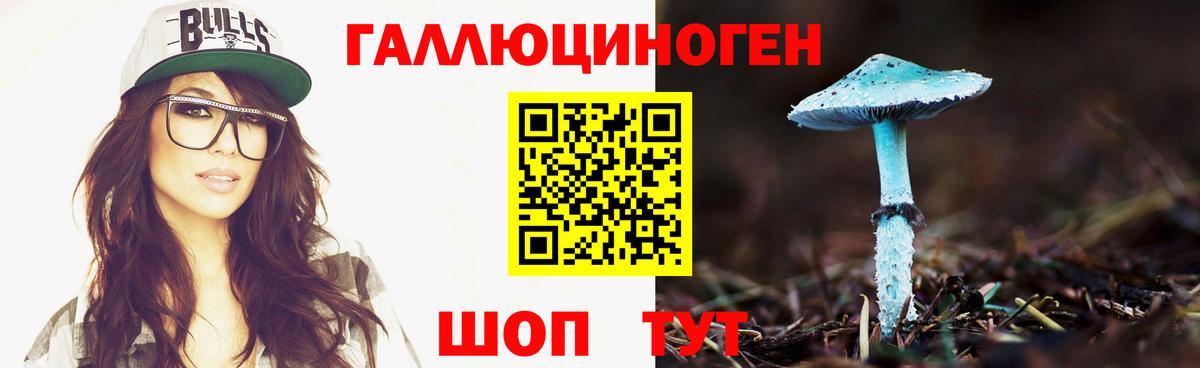 Галлюциногенные грибы MAGIC MUSHROOMS  Вход с VPN  Аша  Псилоцибиновые грибы прущие грибы 